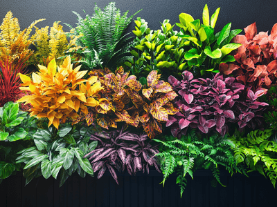 Balcony plants for every season: Fresh colors for small spaces